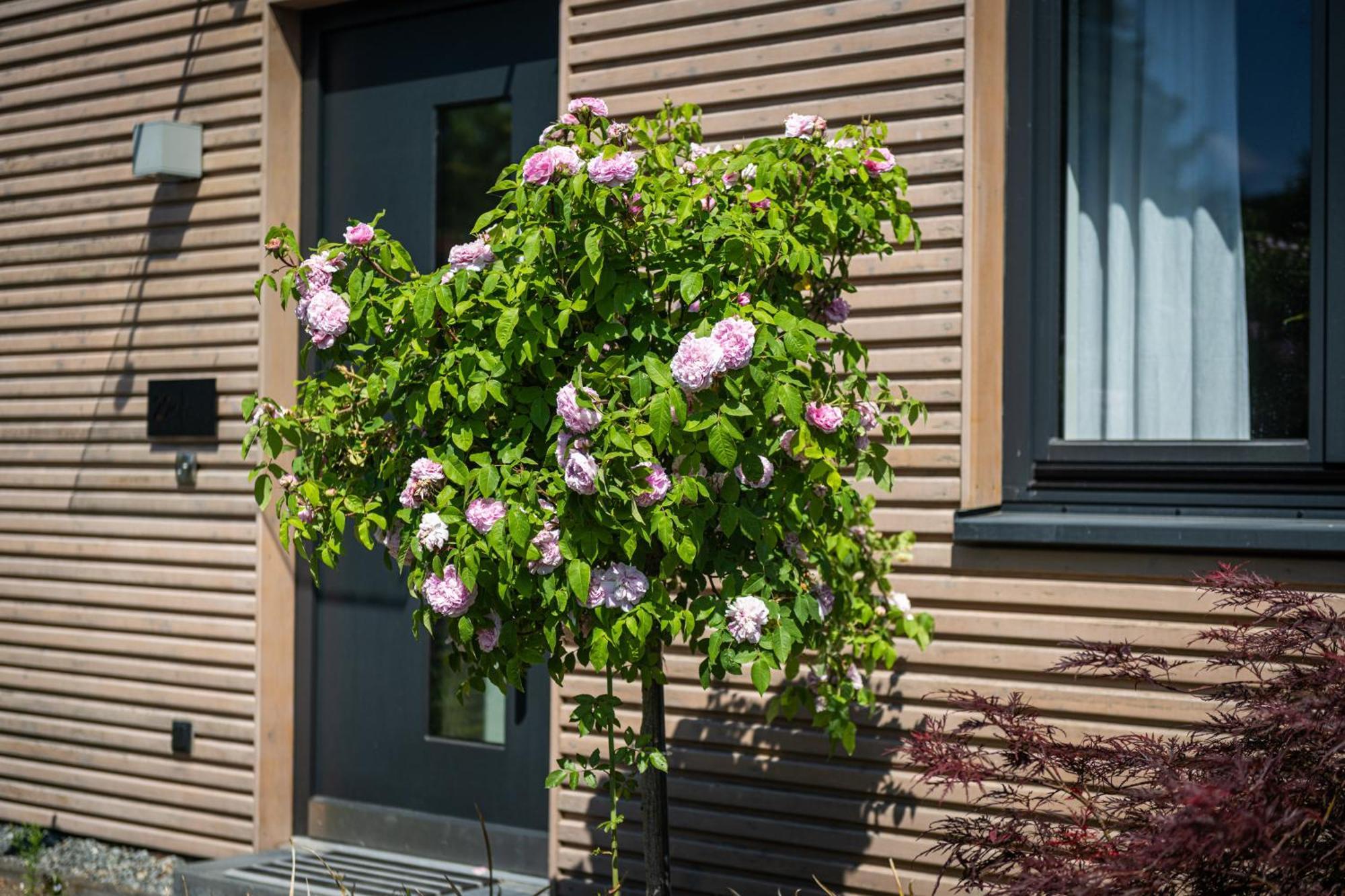 Deine Genuss-Auszeit Villa Asendorf Dış mekan fotoğraf